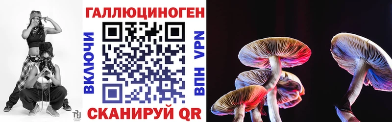Псилоцибиновые грибы Psilocybe  kraken онион  Каменногорск 